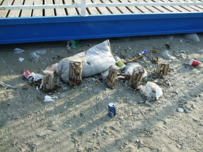 Marine litter