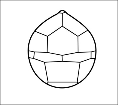 ""