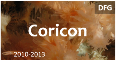 DFG Coricon