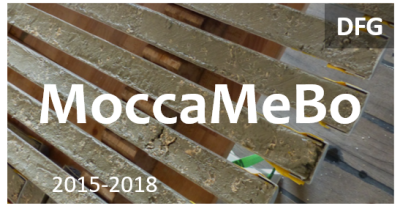 DFG Moccamebo