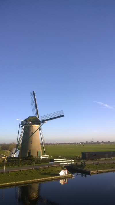 windmill