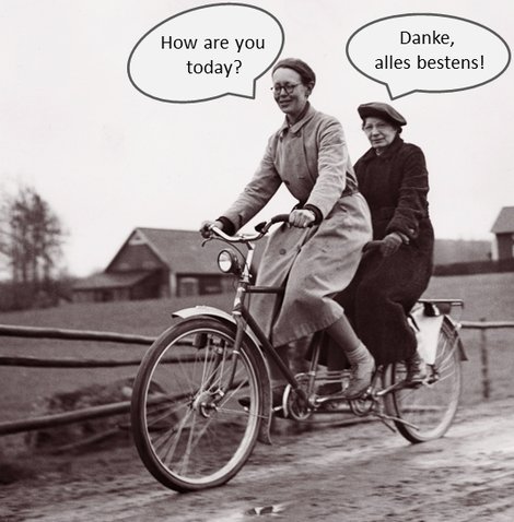 language tandem