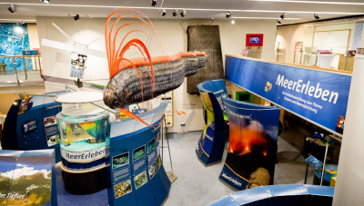 MeerErleben im Deutschen Museum Bonn; Foto: © Deutsches Museum Bonn / Eric Lichtenscheidt
