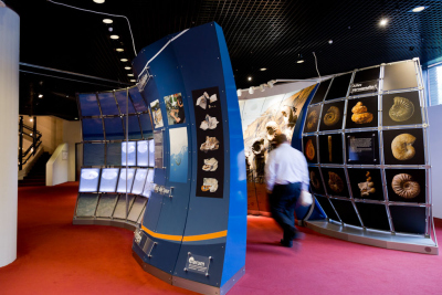 MeerErleben in Bonn; Foto: © Deutsches Museum Bonn / Eric Lichtenscheidt