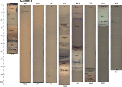 MAP sediments