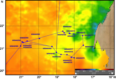 Detailed cruise track off Cape Blanc