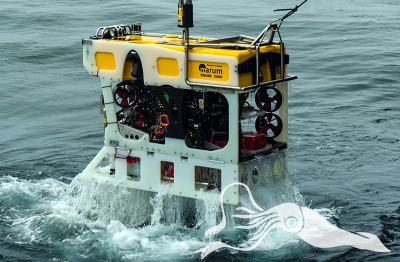 ROV