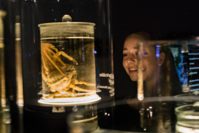 Foto: Ilja Hendel / Wissenschaft im Dialog
