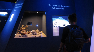 Eröffnung Ausstellung "100 m² Meer"
