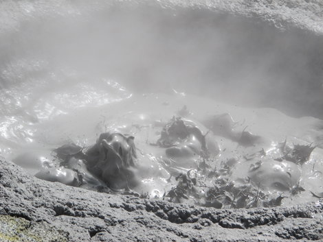Mud Pool