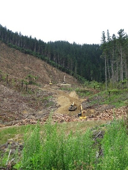 Intense Deforestation