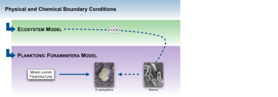 Modeling of ecosystems. Images: K.Kretschmer, C.Schmidt / MARUM