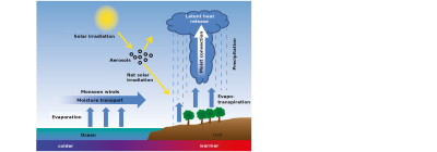 Summer monsoon and its drivers; M.Prange