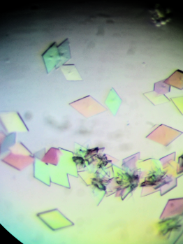 Protein crystals
