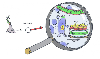 Lucas