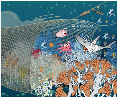 Trawling