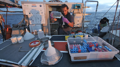 Dr. Raphael Morard is awarded the Higgins Award for his work with foraminifera. Photo: Andres Peyrot