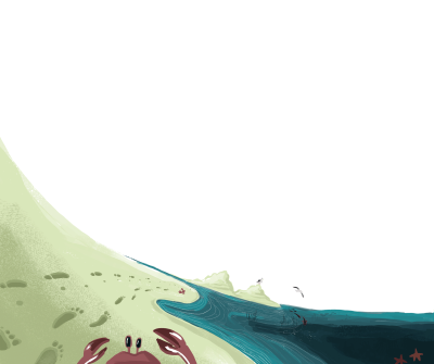 Ocean Dream