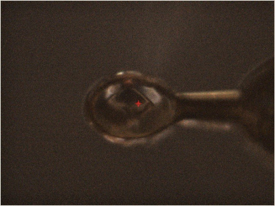 D13