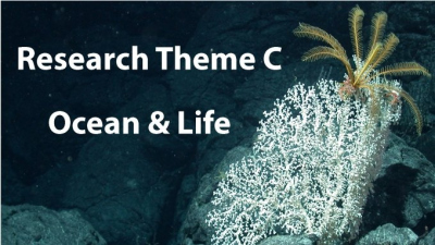 Monthly Research Seminar Theme C