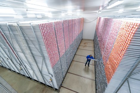 IODP Bremen Core Repository