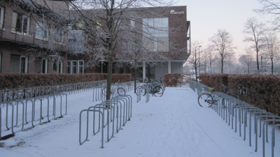 Winter holidays