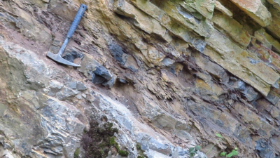 Steinbruch in Bad Wildungen: Der geologische Ausdruck des spätdevonischen Massensterbens in Deutschland. Die Massenausrottung wird durch eine Schicht Schwarzschiefer sichtbar, die die Abfolge der Kalksteinschichten unterbricht. Foto: MARUM - Zentrum für M