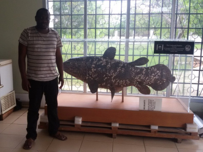 Lewy Otwoma