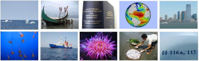 photos: Ilham Bouimetarhan, Ulrike Holzwarth, Mahmudul Islam, Takasumi Kurahashi, Martina Loebl