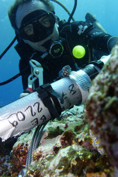Emplacement of pressure transducers (Photo: GILLES SIU, CRIOBE)