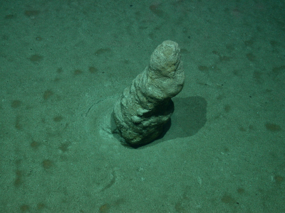 Die untersuchte Kalksteinsäule am Meeresboden in 734 Metern Wassertiefe, aufgenommen vom Tauchroboter MARUM-QUEST. Foto: MARUM – Zentrum für Marine Umweltwissenschaften, Universität Bremen