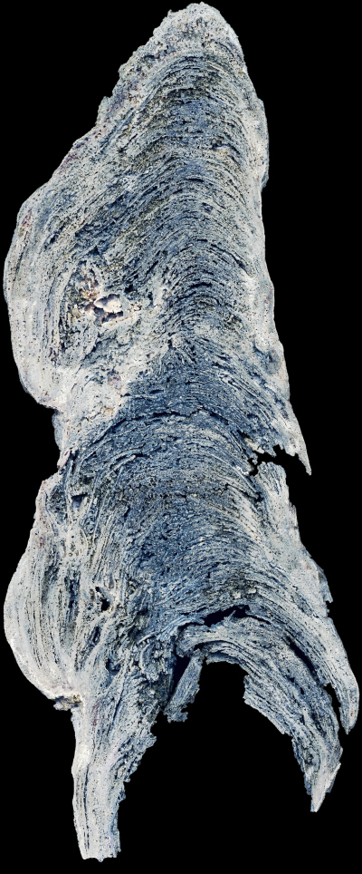 Lagenbau des Stromatlithen aus 730 Meter Wassertiefe. Foto: MARUM – Zentrum für Marine Umweltwissenschaften, Universität Bremen