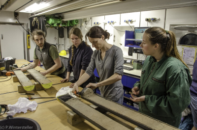 Arbeit an Kernsegmenten im Labor (Foto: P. Wintersteller).