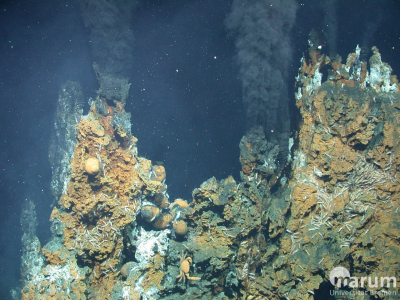 Schwarzer Raucher in Niua South (MARUM − Zentrum für Marine Umweltwissenschaften, Universität Bremen)