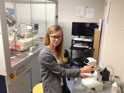 Protein crystal mounting prior to the X-ray diffraction experiments