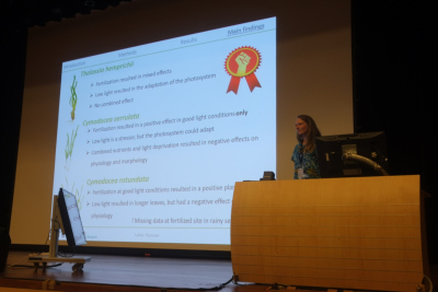 During the presentation