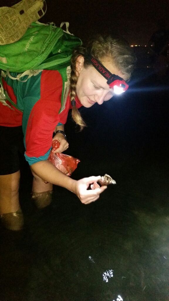 Many things to discover: Before dawn in a seagrass meadow at St. John's Island. 