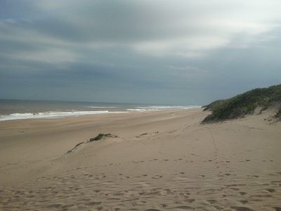 beach