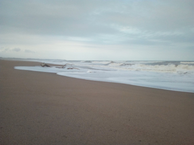 beach