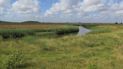 The catchment area of the Limpopo River. Here lived an ancestor of man, Paranthropus robustus about two million years ago. Photo: MARUM – Center for Marine Environmental Sciences at the University of Bremen
