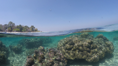 Foto: MARUM - Zentrum für Marine Umweltwissenschaften, Universität Bremen