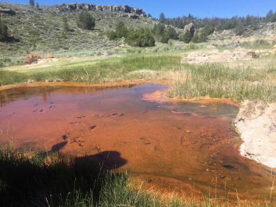 Little Hot Creek, Long Vally Caldera Hydrothermal system.
