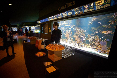 Conference dinner at the Aquarium tropical du Palais de la Porte dorée. 