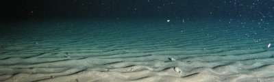 Ocean Floor as RECEIVER (Photo: MARUM – Center for Marine Environmental Sciences)