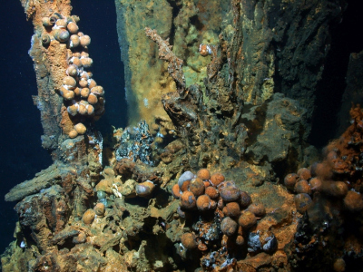 HydrothermalVent_05