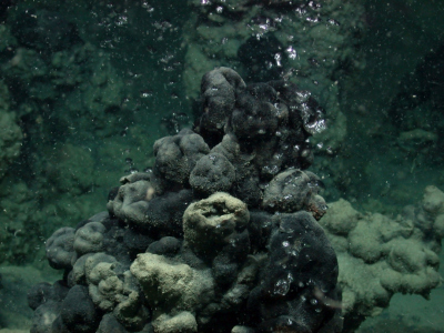 Cold seeps_02