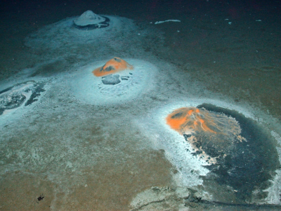 Cold seeps_03