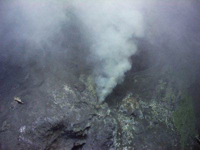 HydrothermalVent_06