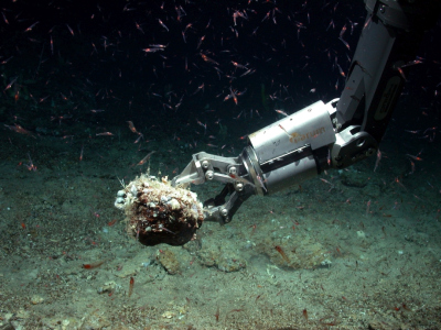 ROV_05