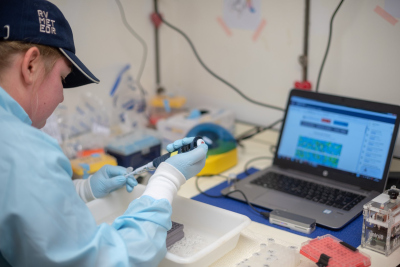 Babett Günther bei der Arbeit im mobilen Molekularlabor. Foto: MARUM - Zentrum für Marine Umweltwissenschaften, Universität Bremen, V. Diekamp 